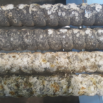 Keel Cooler Cleaning by MechPro, Heat Transfer Specialist : Before Cleaning