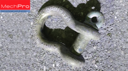 9.5 ton shackle found fouling intake port of marine vessel heat exchanger intake